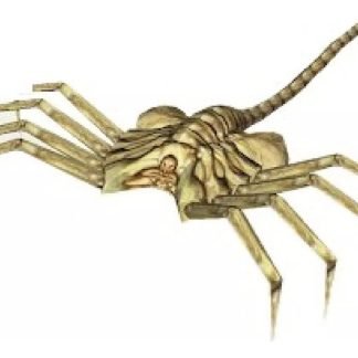 Facehugger Modelo Papercraft Alien Xenomorfo Pdf Digital 3pg